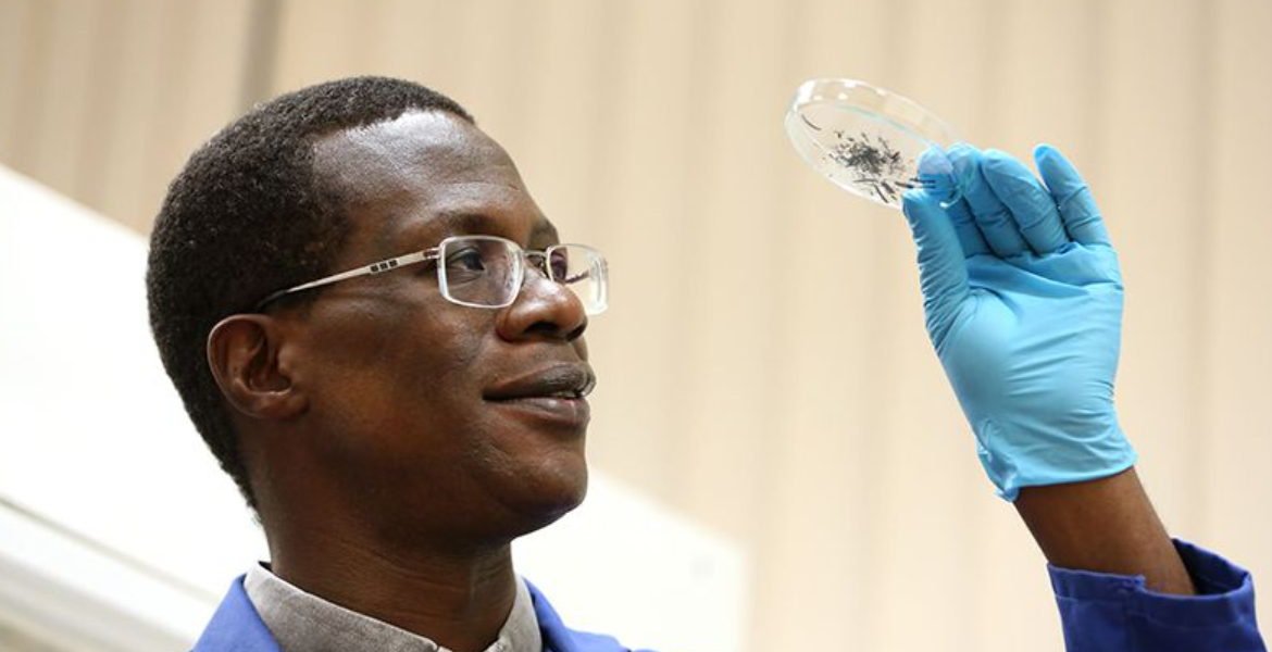 Professor Robert Mokaya, Pro-Vice-Chancellor at Nottingham University Kenyan Professor Recognized for Academic Excellence in the UK