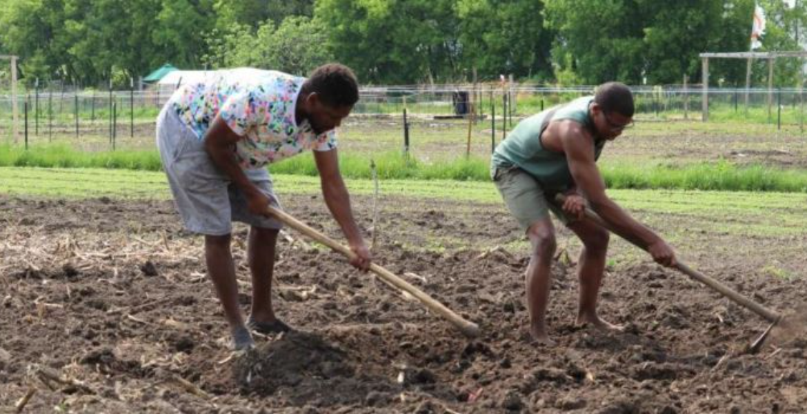 Erick Ateka and Moses Moturi Working at the Covenant Church Farm How Kenyan Erick Ateka Discovered His Farming Passion in Minnesota