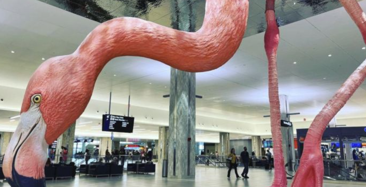 Flamingo Sculpture at Tampa International Airport Susan Kihika's Plan to Install Ksh 72M US Airport Sculpture in Nakuru