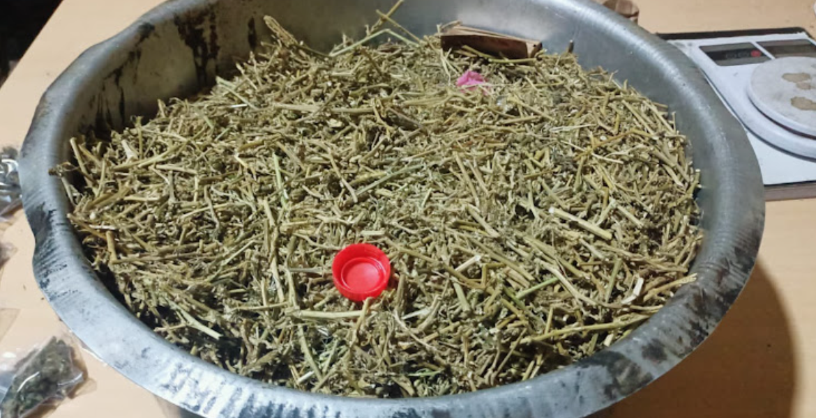 Part of the Narcotic Drugs Recovered by Detectives Seven Arrested Over Possession of Bhang in Nairobi