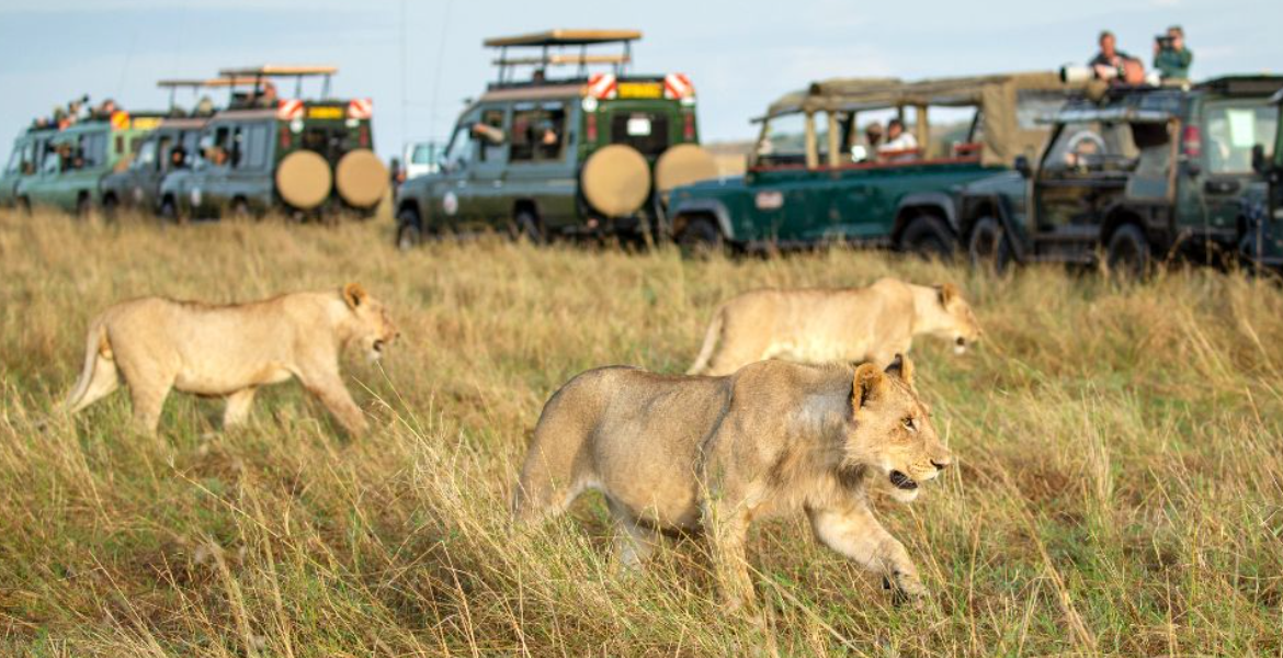 Maasai Mara National Reserve Kenya Ranked Among Top Destinations Worldwide by UK Citizens