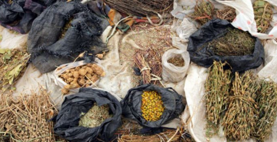 Variety of Herbal Medicines on Display Ksh100,000 Fine For Kenyans Making Herbal Medicine Without Following Regulations