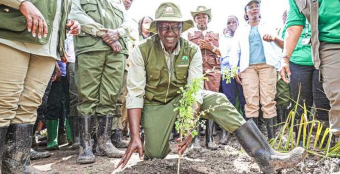 President William Ruto During National Tree Growing Day, Kiu Wetland, Makueni County President Ruto's Environmental Leadership Lands Him on Time Magazine's Top 100 List