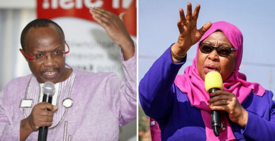 President William Ruto's Economic Adviser David Ndii (left) and Tanzanian President Samia Suluhu Ruto Anticipates Unprecedented Appreciation of Kenyan Shilling