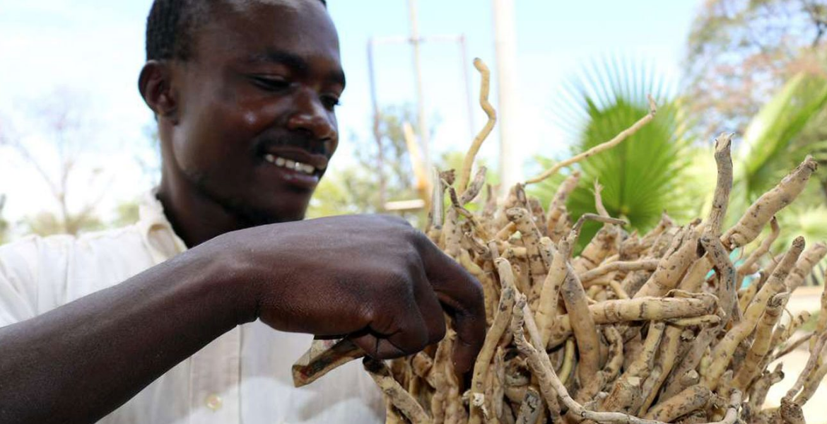 From Mukombero to Maasai Shuka: The Surprising Global Appeal of Kenya Household Items