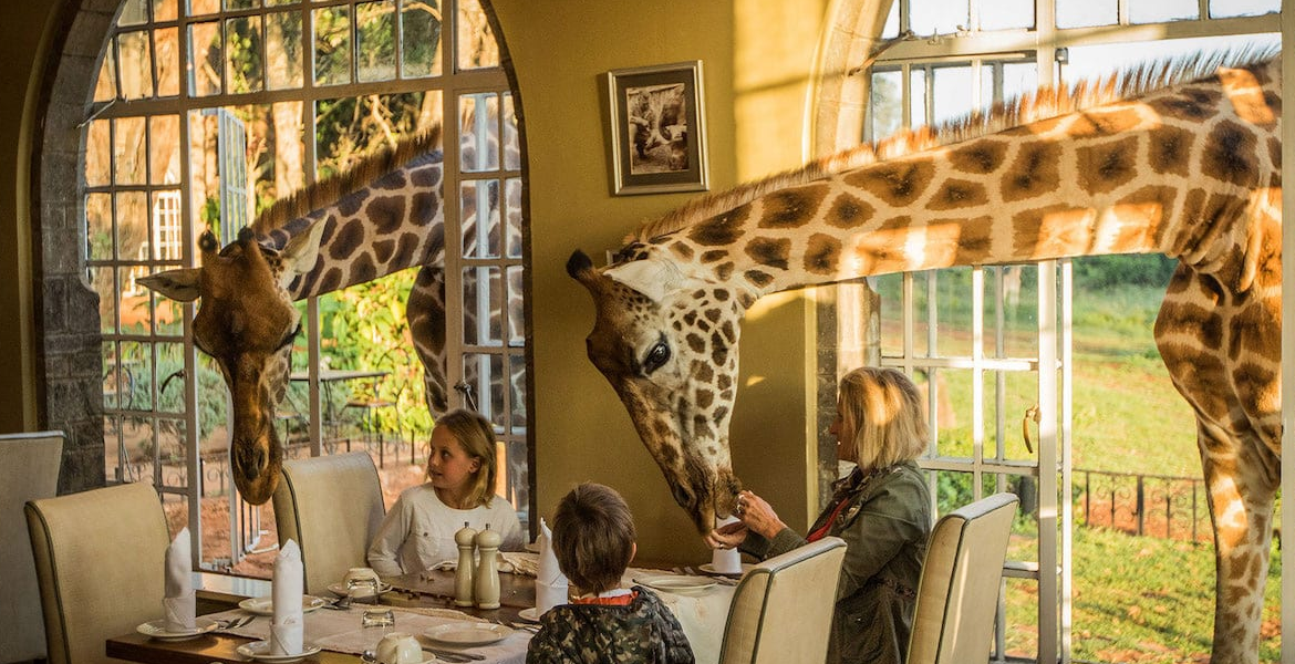 Kenyan Hotel Giraffe Manor Kenyan Hotel Giraffe Manor Ranked Among the World's Top Instagrammable Hotels
