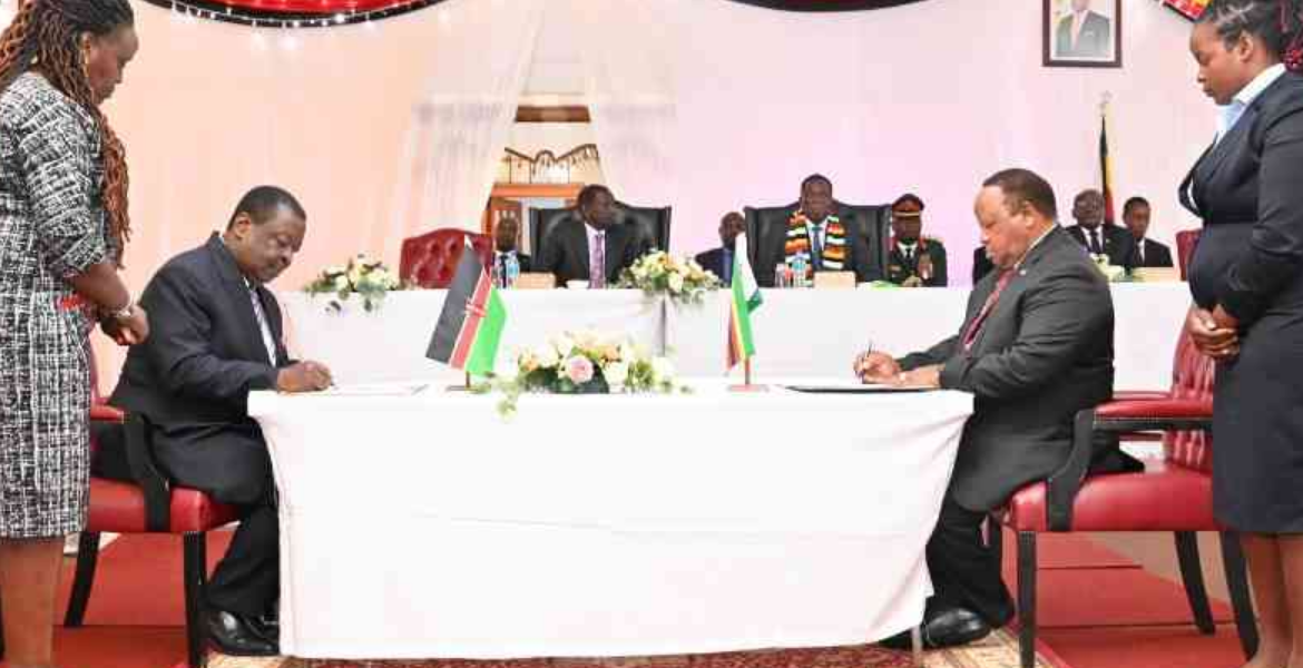 Kenya and Zimbabwe Signed Nine MoUs Zimbabwe Endorses Raila Odinga for Top AU Post