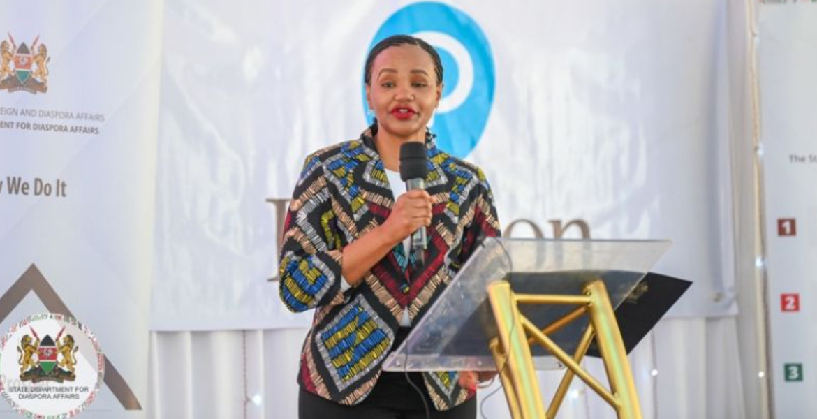 PS Roseline Njogu Diaspora Kenyans Challenged to Create Job Opportunities for Compatriots