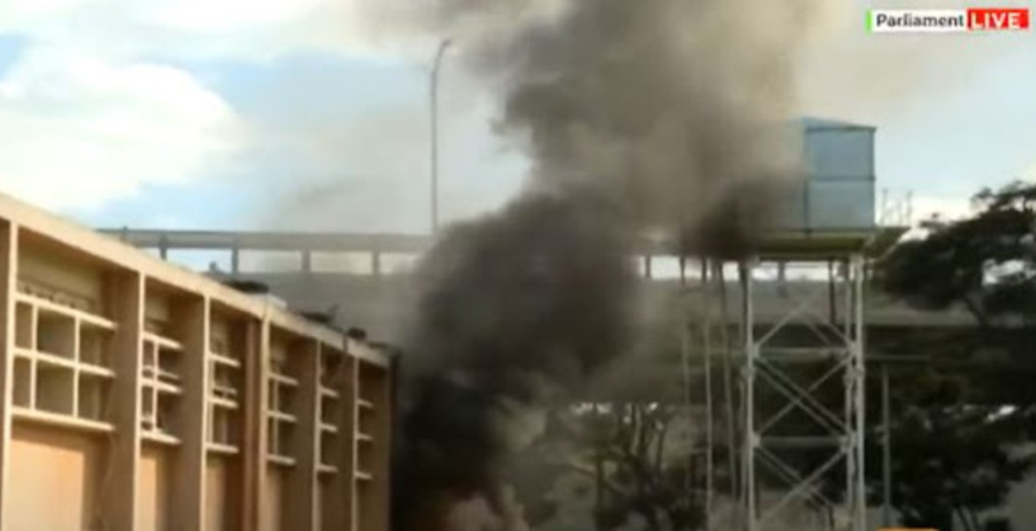 A Section of Parliament on Fire Parliament on Fire as Protesters Storm Building