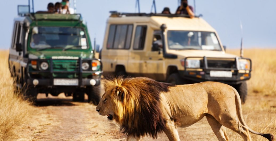 Kenya's Tourism Revenue Soars to All-Time High of Sh352 Billion