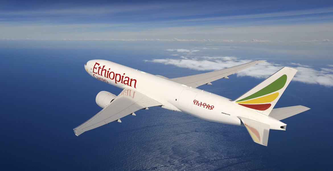 Ethiopian Airlines Flight Ethiopian Airlines Addresses Public Outcry Following Viral Passenger Ejection Video