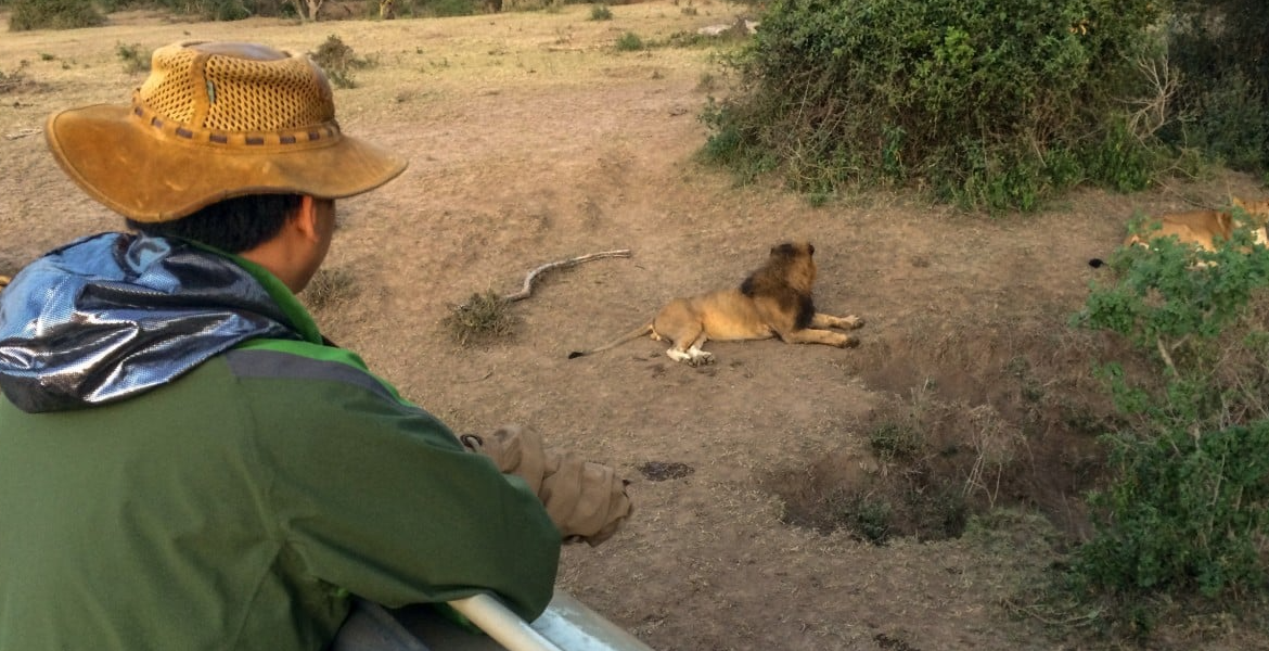 Chinese Wildlife Conservationist Zhuo Qiang How Chinese Tourist Boosts Local Incomes in Maasai Mara