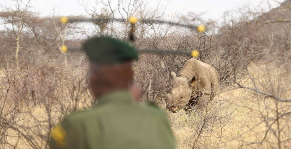 Sera Community Conservancy, Kenya Celebrates Tourism Week with Free National Park Access