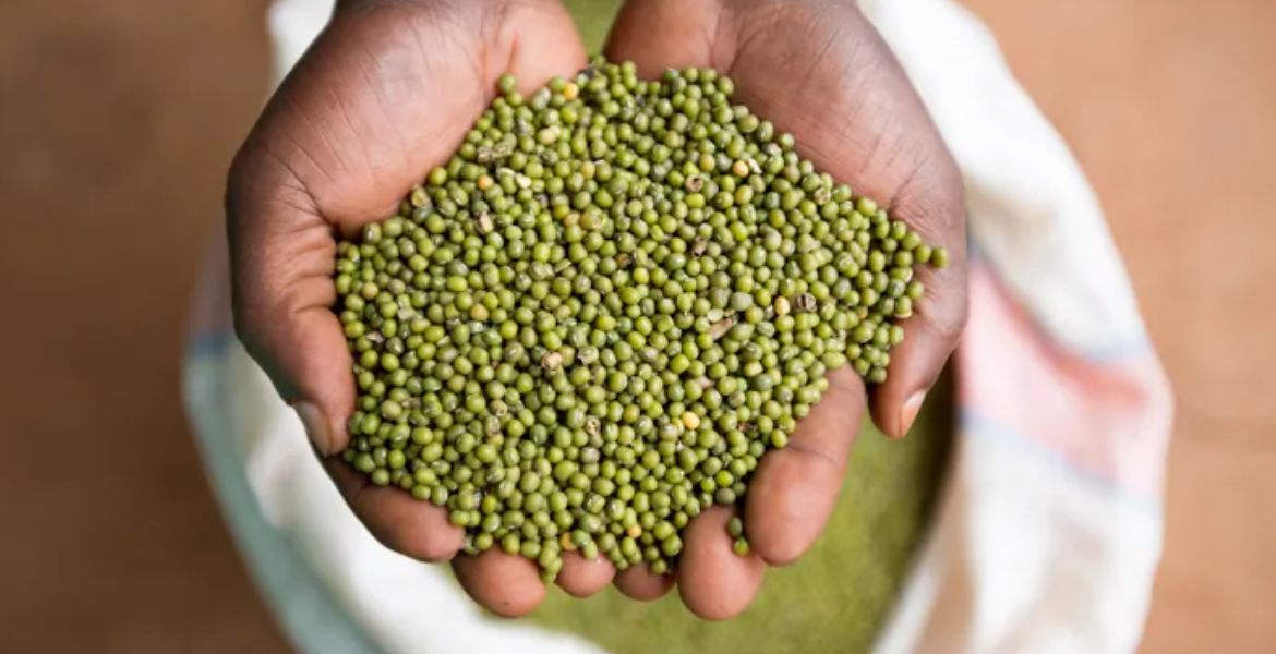 Dengu Kenyan MPs Vote Down 'Ndengu Bill' Amid Farmer Backlash