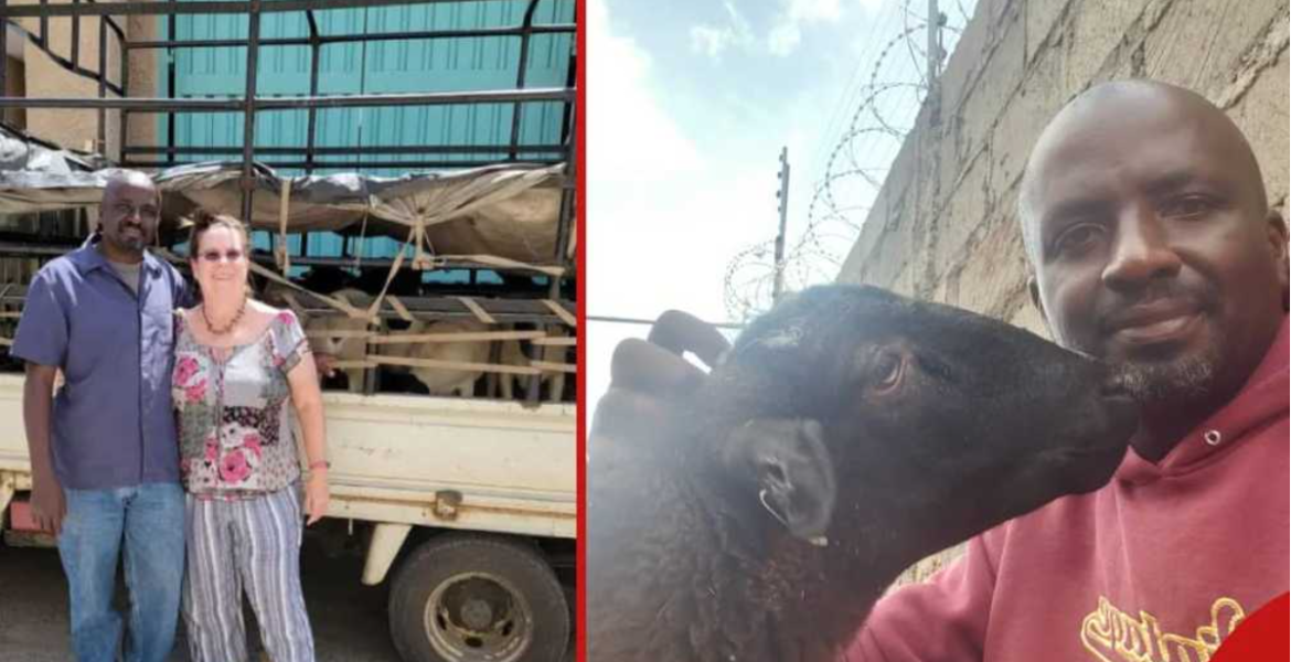 James Kahiga and His Wife Wall Street Pro Turns to Dorper Sheep Farming in Kenya