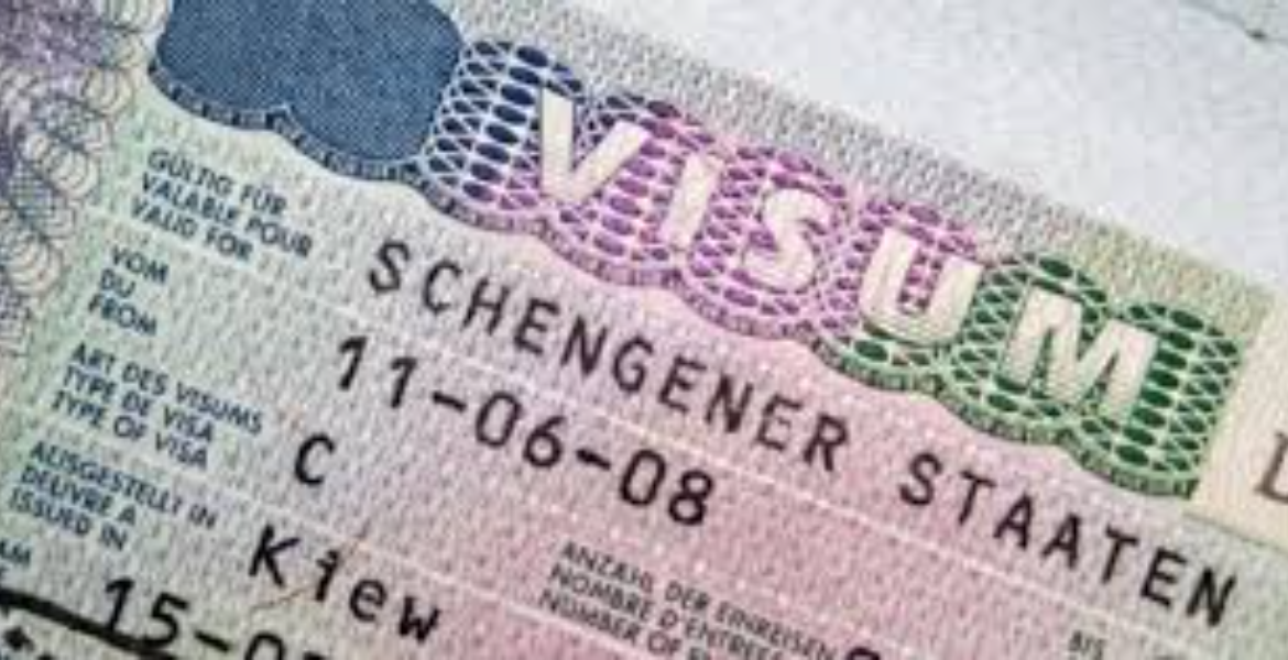 Germany Visa German Embassy Addresses Visa Suspension in Kenya