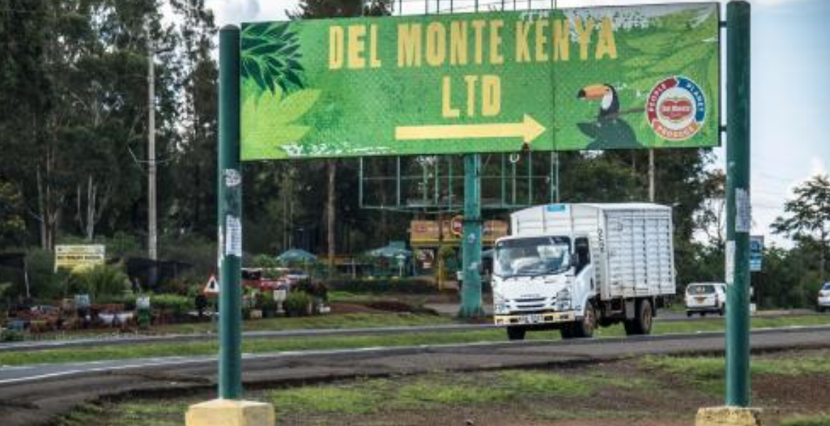 Del Monte G4S Under Fire Over Alleged Attack on Kenyans at Del Monte Farm