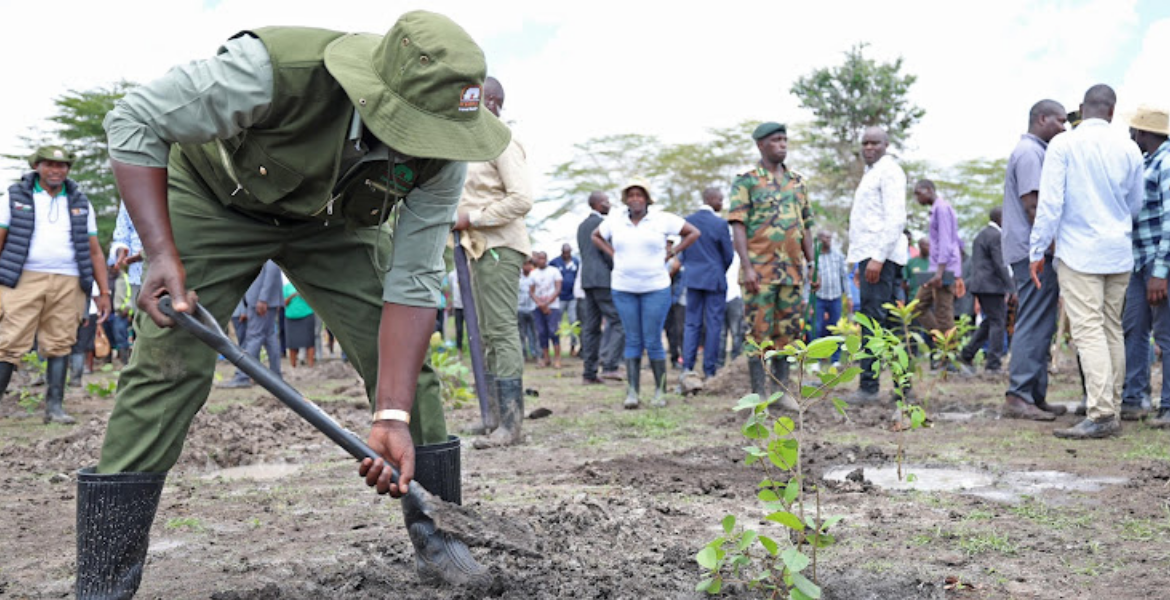 President William Ruto Everything You Should Know About Mazingira Day 2024