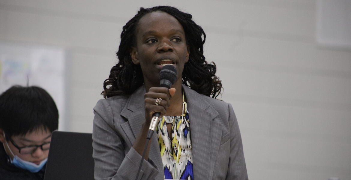 Huldah Momanyi Hiltsley Kenyan-American Makes History in Minnesota Legislature Win