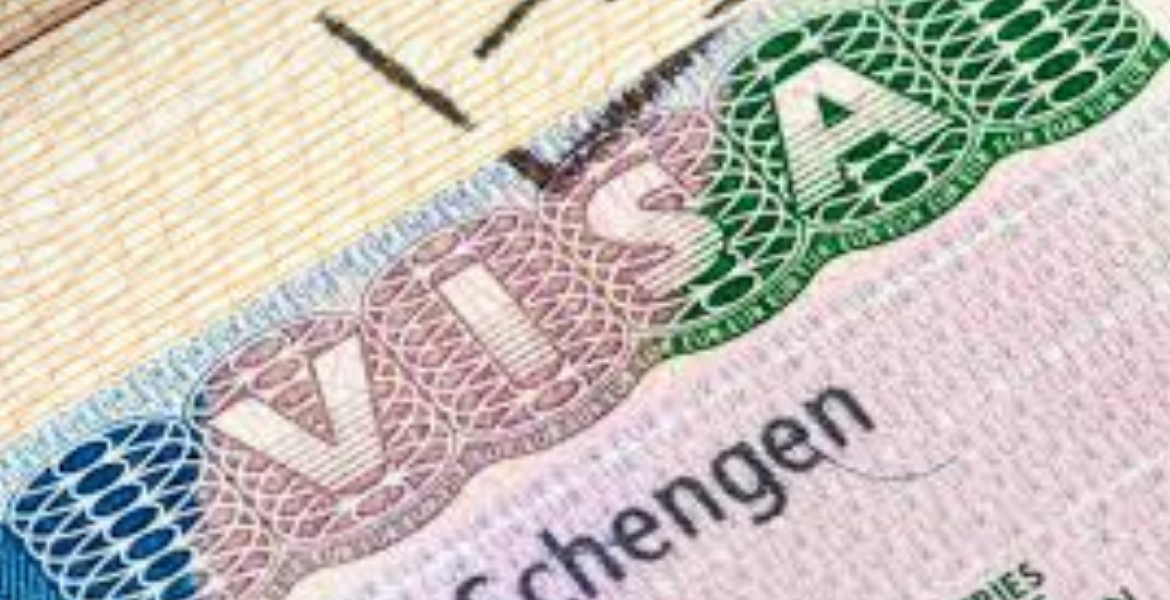 Schengen Visa Denied a Schengen Visa? Here's Your Complete Guide to Recovery