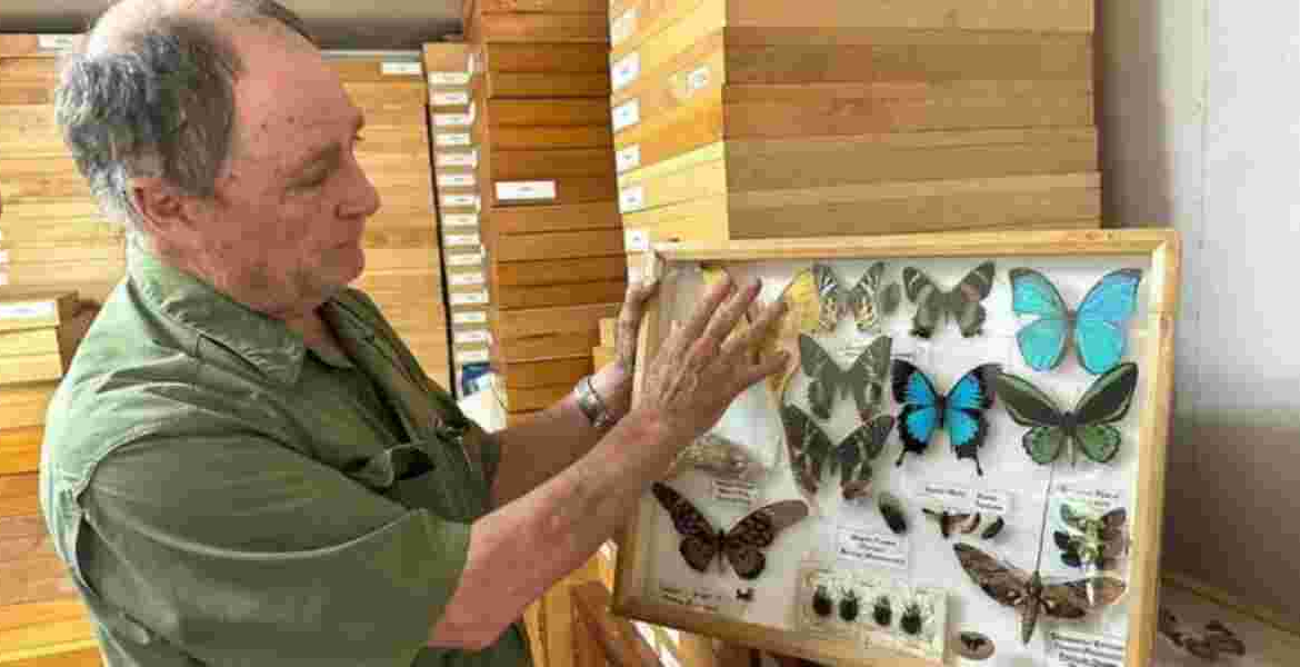 Steve Collins Steve Collins: Kenyan Man Who Turned Butterfly Collecting into Million-Shilling Art