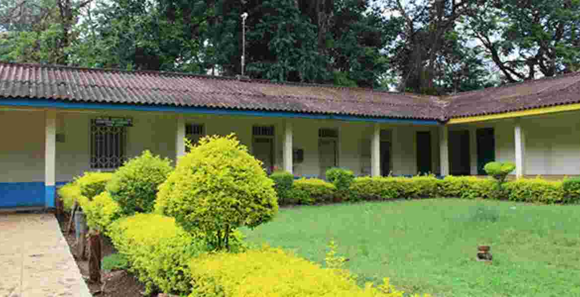 Asbestos Roofing Kenya Government Moves to Remove Asbestos from Schools and Hospitals