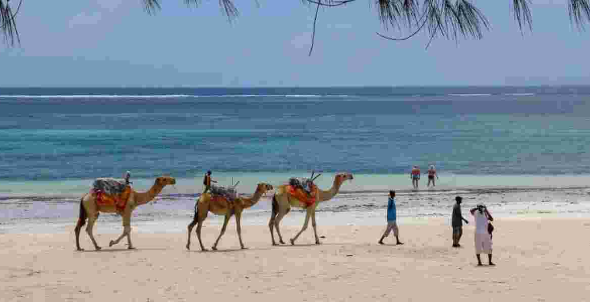 Lamu Lamu Authorities Urge Caution on Treacherous Indian Ocean Beaches