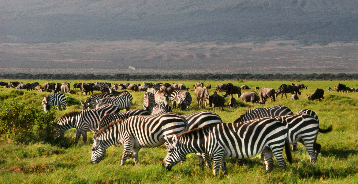 Amboseli National Park Kenya Sets 7M Tourist Goal by 2027 as France and Spain Already Attract Over 90M Annually
