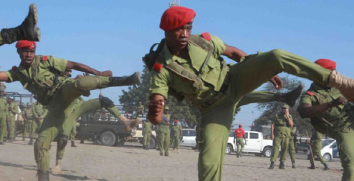 Tanzania Police Tanzania-Kenya Police Collaboration Leads to Three Arrests in Molo Activist Murder