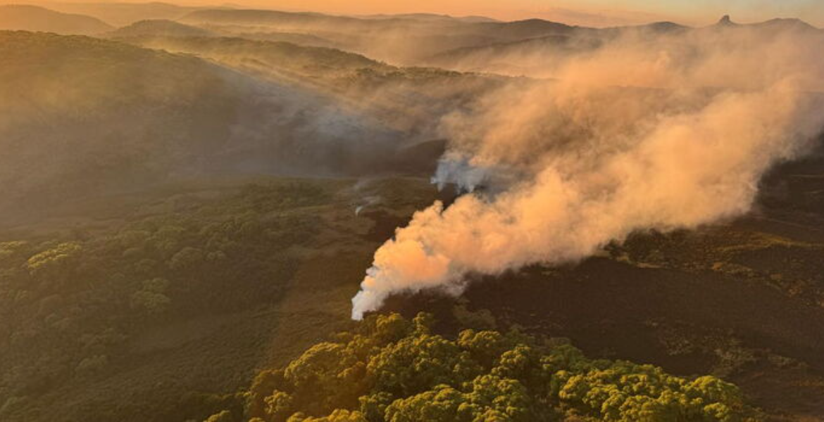 Aberdare Forest Wildfires Engulf Aberdare and Mount Kenya Forests as Conservation Teams Battle Multiple Blazes