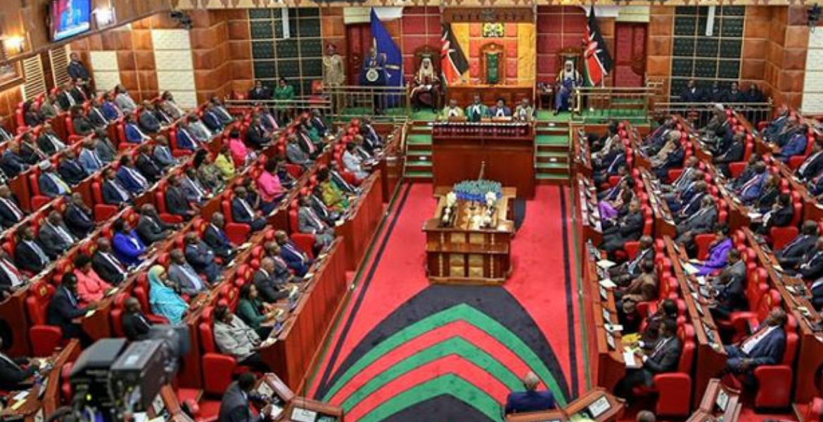 Senate Proceedings Kenyan Senators Urge Government to Address Homelessness Before Closing Children's Homes