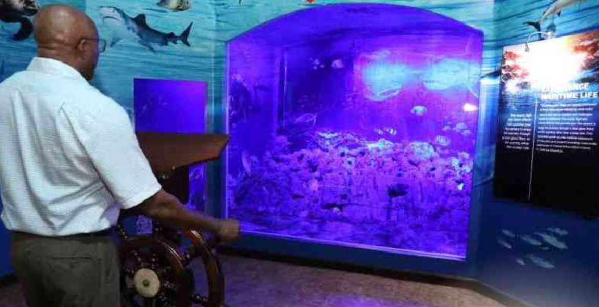 Under Water Life With Different Species on Display Mombasa Maritime Museum Reshapes Kenya's Historical Identity