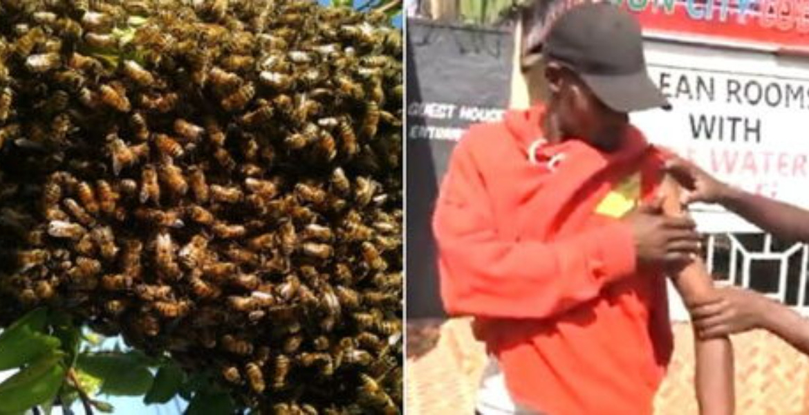 Swarm of Bees and a Trader at Limuru market in Kiambu Panic in Limuru Market as Swarm of Bees Causes Chaos and Injuries