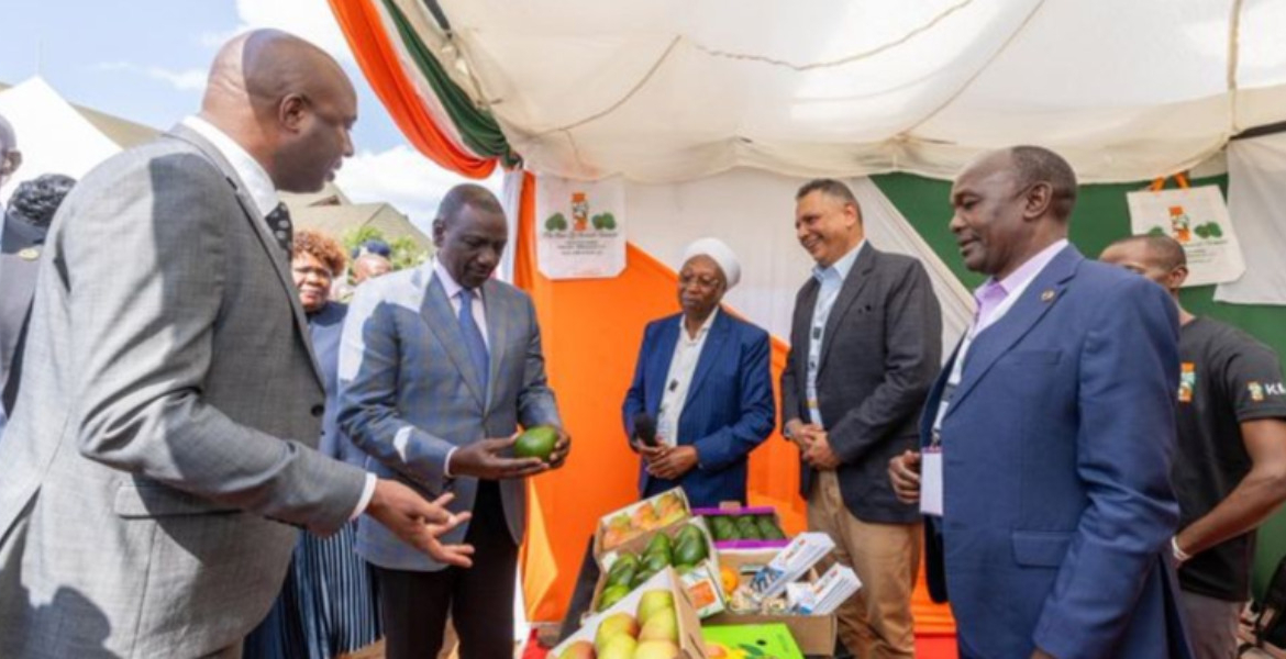 Murang'a Governor Irungu Kangata and President William Ruto Murang’a County to Establish Export Processing Zone to Attract Investors