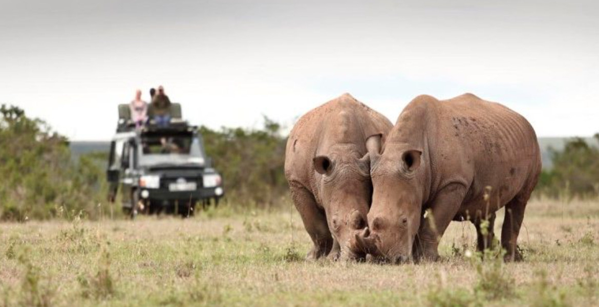 Rhinos KWS Seeks to Raise National Park Fees by 50%