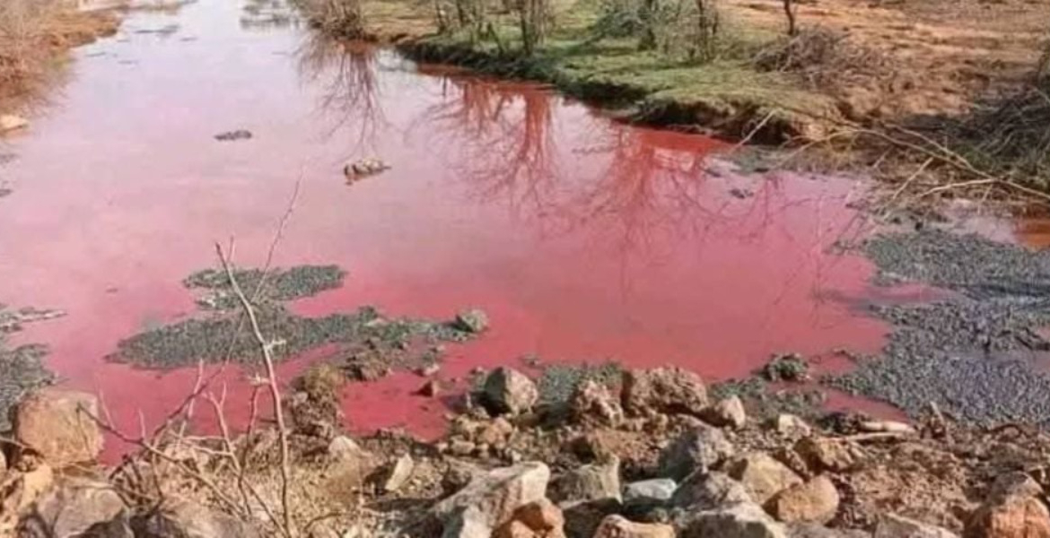 Lake Bogoria Why Lake Bogoria’s Waters Suddenly Turned Red