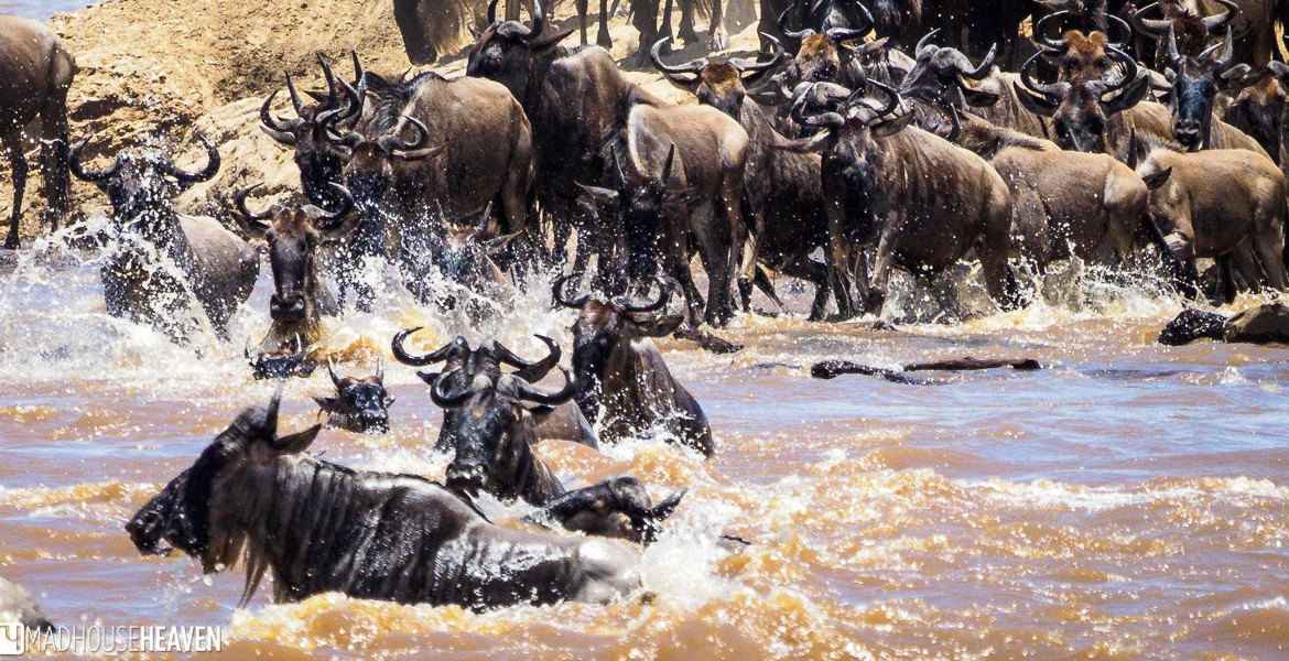 Africa’s Tourism Sector Faces Hurdles in Adopting Digital Technology