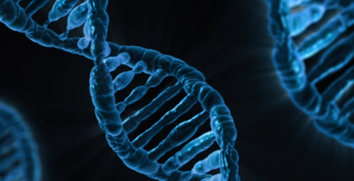 DNA Claims of Fake DNA and Birth Certificate Fuel Nairobi Custody Fight
