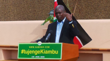Kabogo