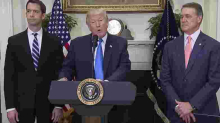 US Green Card Lottery Program in Jeopardy as Donald Trump Unveils New Immigration Reform Bill, "RAISE Act"