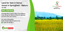 Affordable Investment Opportunity at Springfield - Nakuru