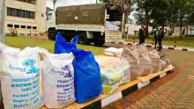 Gov't Chemist Confirms High Levels of Mercury in Contraband Sugar