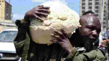 "Ugali Man": Kenyan Man Pictured Salvaging Ugali as Gov't Demolishes Illegal Structures in Nairobi