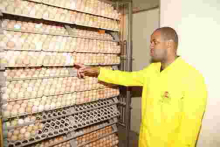 Meet Tony Kiragu, a Kenyan Who Has Built a Sh20 Million Agri-Business after Ditching Lucrative Job in the US