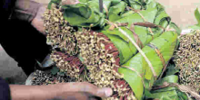 Family of Kenyan Man Imprisoned in India for Smuggling Miraa Appeals for Gov't Intervention