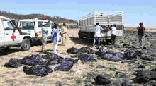 US-Based Law Firm to Seek Justice for Kenyan Victims of Ethiopian Plane Crash
