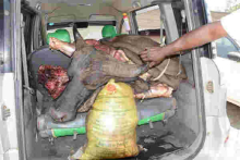Three Busted with 200Kgs of Buffalo Meat Destined for Nairobi’s Burma Market