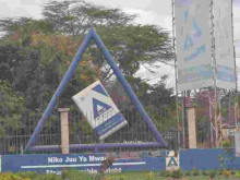 Over 7,000 Kenyans Lose Jobs in Mass Layoff of Workers 