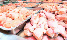 Kenyan Farmers Cry Foul as US Chicken Imports Flood Kenyan Market