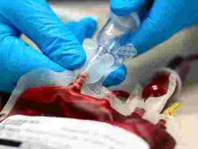 Kenyan Woman Attempts to Sell Her Blood to Raise School Fees for Daughter Who Scored 380 Marks 